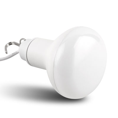 10W USB LED Light Bulbs Lamp With 1000LM Luminous Flux Lighting Solution