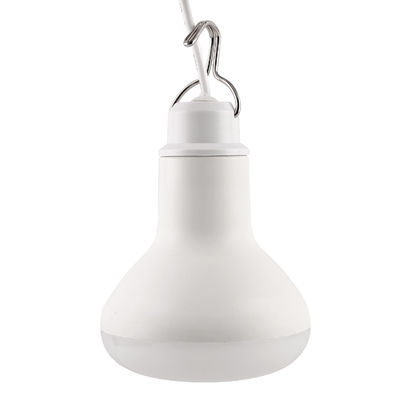 10W USB LED Light Bulbs Lamp With 1000LM Luminous Flux Lighting Solution